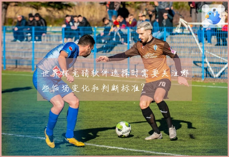 世界杯竞猜软件选择时需要关注哪些临场变化和判断标准？