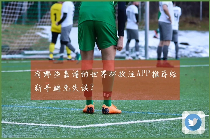 有哪些靠谱的世界杯投注APP推荐给新手避免失误？