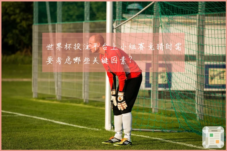 世界杯投注平台上小组赛竞猜时需要考虑哪些关键因素？