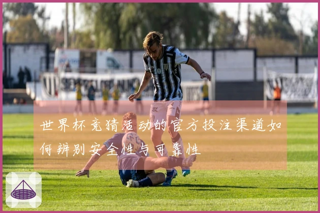 世界杯竞猜活动的官方投注渠道如何辨别安全性与可靠性
