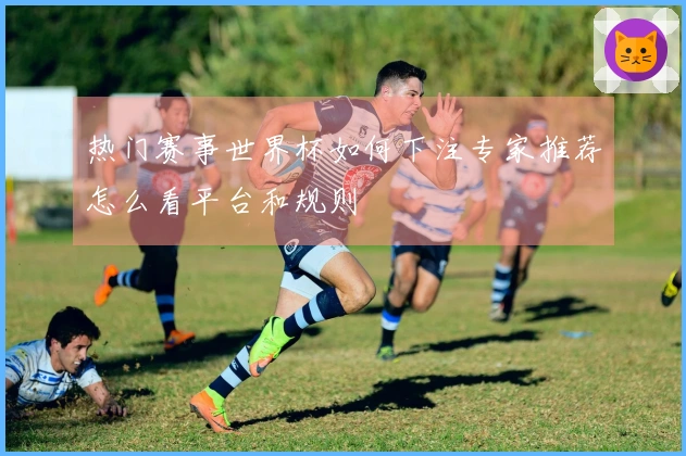 热门赛事世界杯如何下注专家推荐怎么看平台和规则