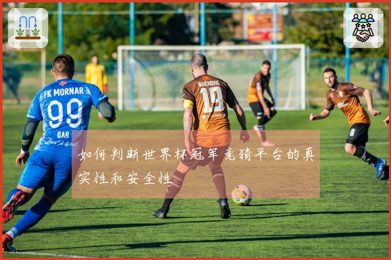 如何判断世界杯冠军竞猜平台的真实性和安全性